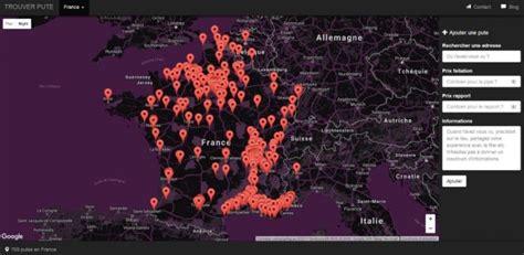 Prostitution à Paris : cartographie et état des lieux des prostituées ...